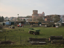 Alexander Paul Brandes